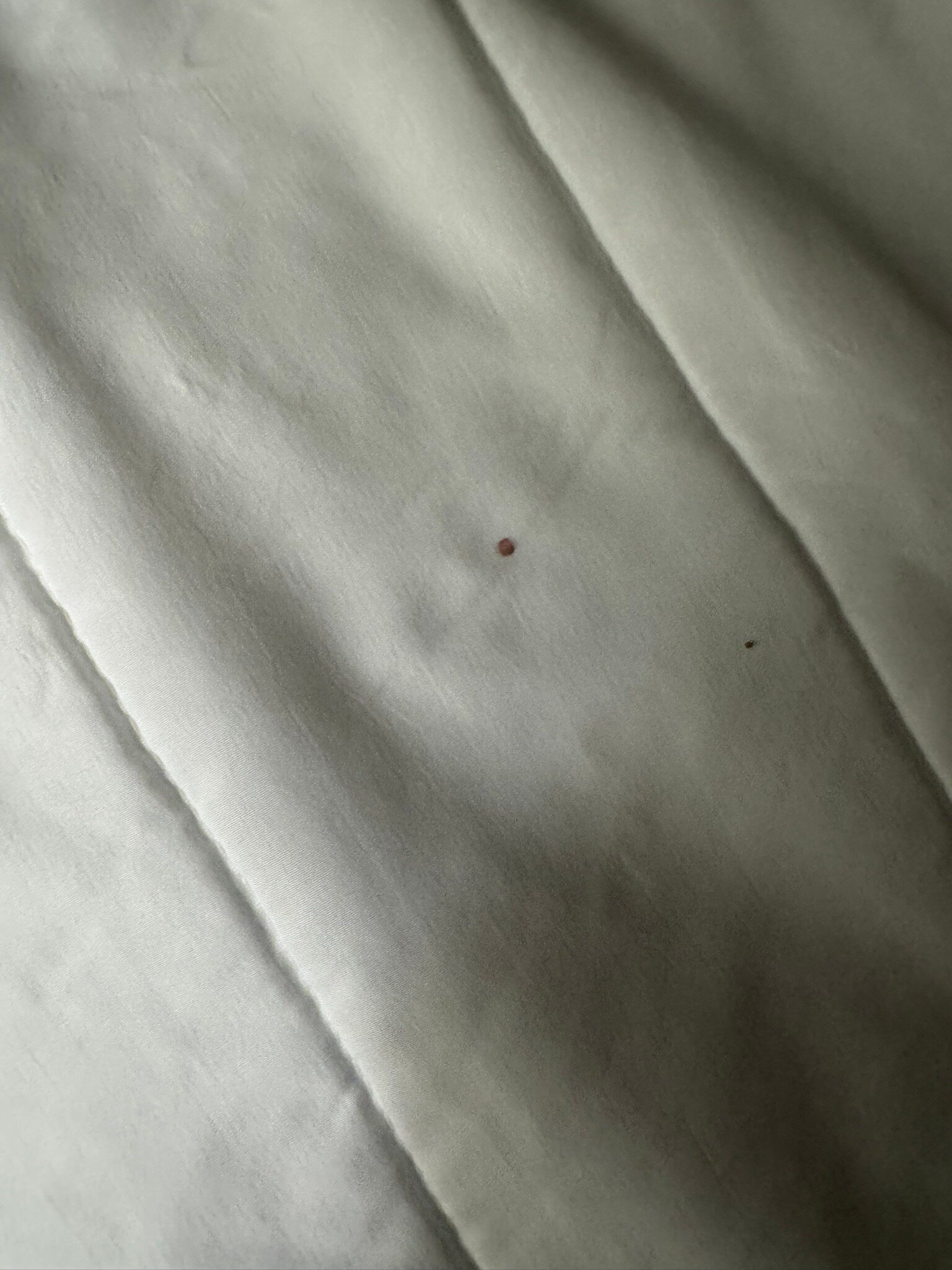 Best Western Fishers Indianapolis Area-官方