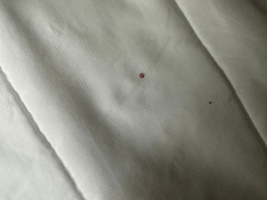 Best Western Fishers Indianapolis Area主图