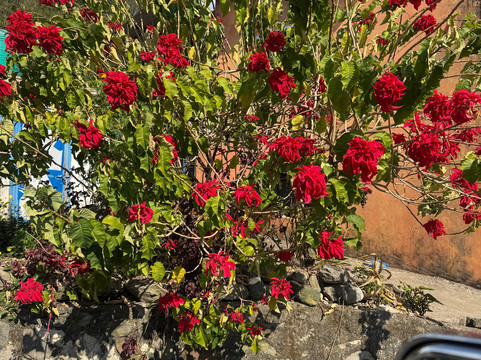 瓦尔丹度假公寓主图