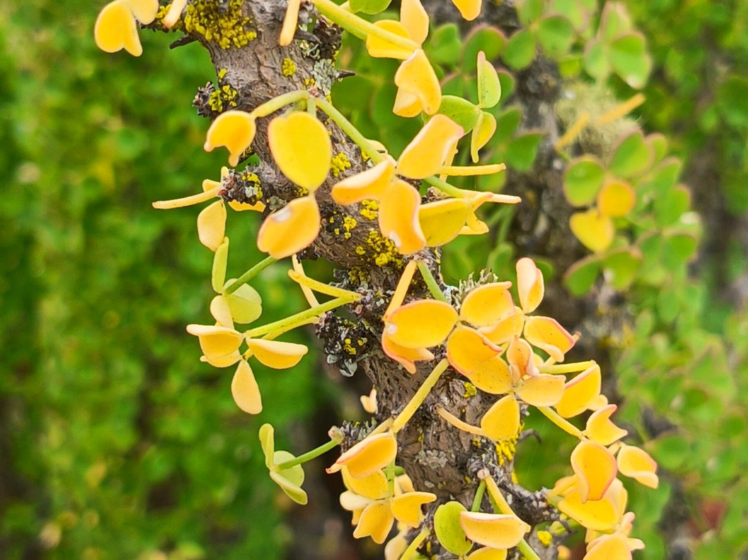 GeoTurismo Atacama-Caldera必去景点