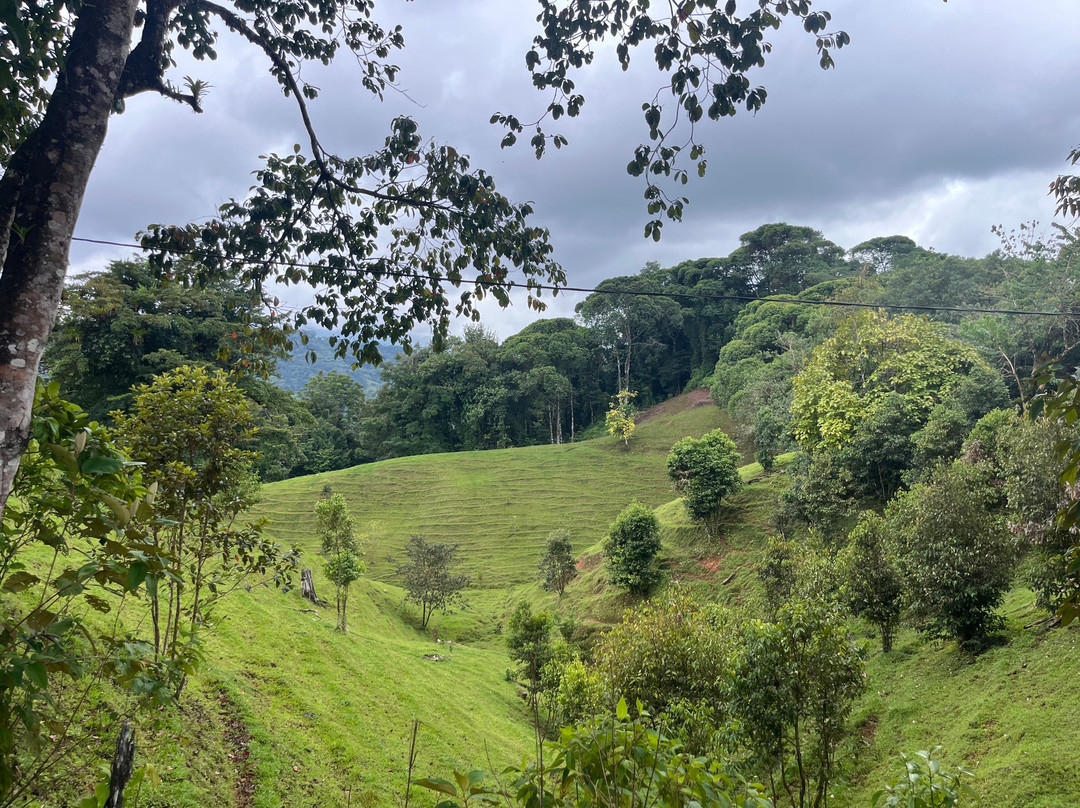 Manuel Antonio Bee Farm Tour-哥斯达黎加安东尼奥国家公园必去景点