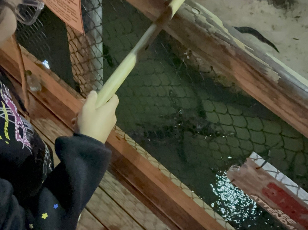 Congo River Golf-博尼塔斯普林斯必去景点