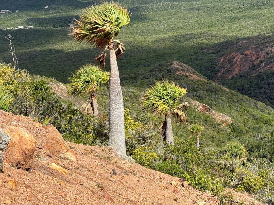 Christoffelpark-Sabana Westpunt必去景点
