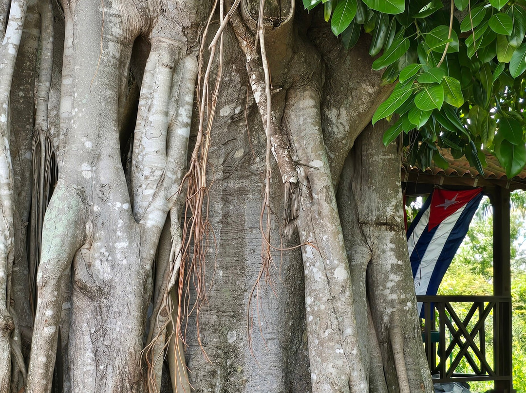 Authentic Tour Delivery-null必去景点