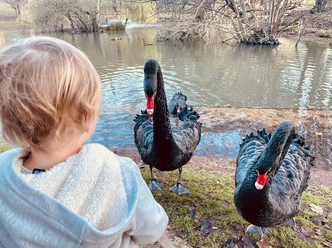 Prinknash Bird And Deer Park-Cranham必去景点