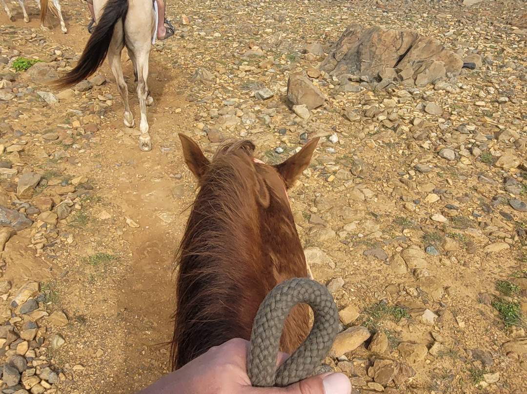 Rancho Loco-Santa Cruz必去景点