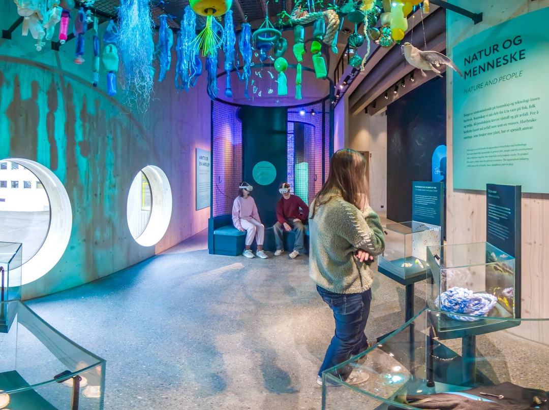 Ocean Stories-霍宁斯沃格必去景点