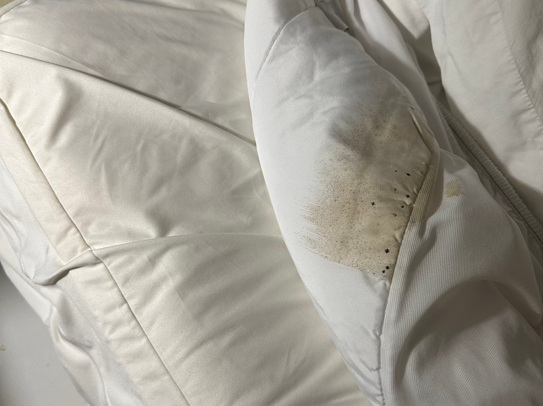 Super 8 by Wyndham Fairview Heights - St. Louis主图