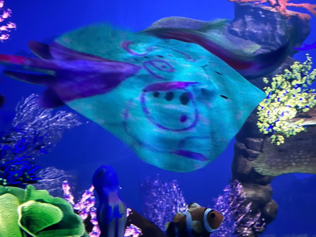 ARTE MUSEUM DUBAI-迪拜必去景点