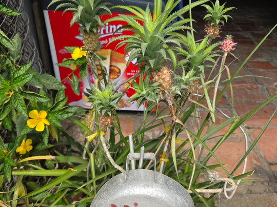 AucoeurVietnam - IMAGE Travel-河内必去景点