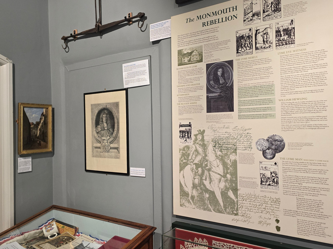 Lyme Regis Philpot Museum-莱姆里杰斯必去景点