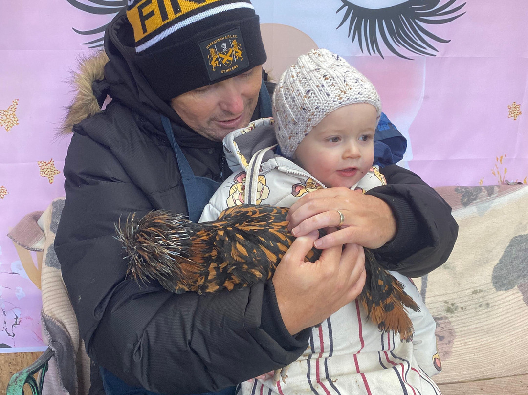 Woolly Experiences, Nercwys, Mold-Mold必去景点