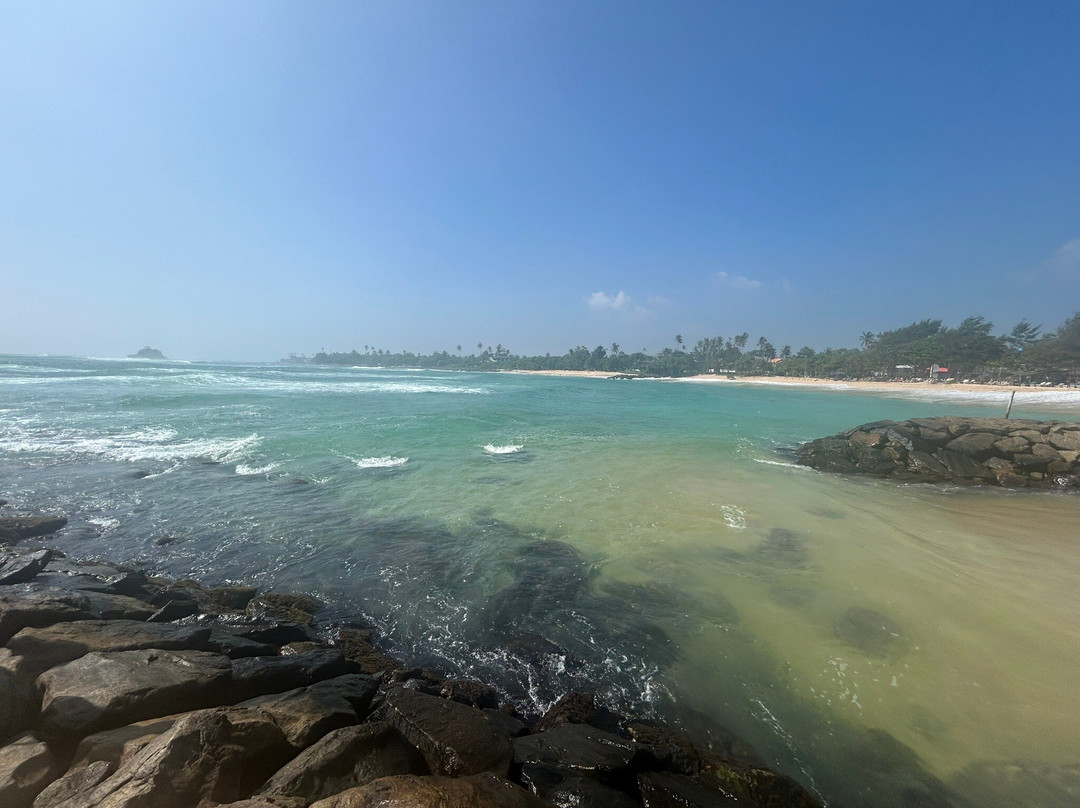 Paradise Cove Midigama