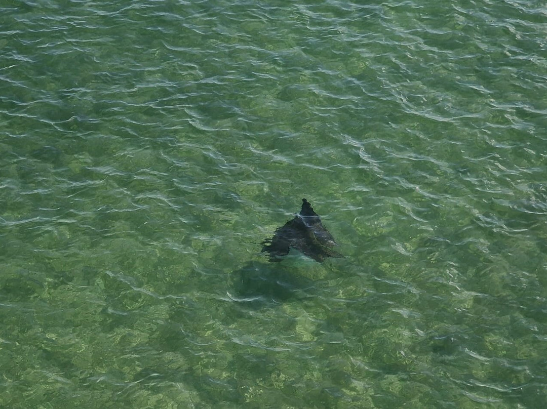 Old Seven Mile Bridge-马拉松必去景点