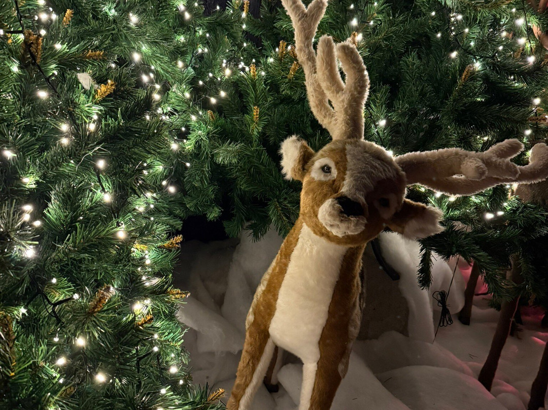 Gulliver's World - Warrington-沃灵顿必去景点