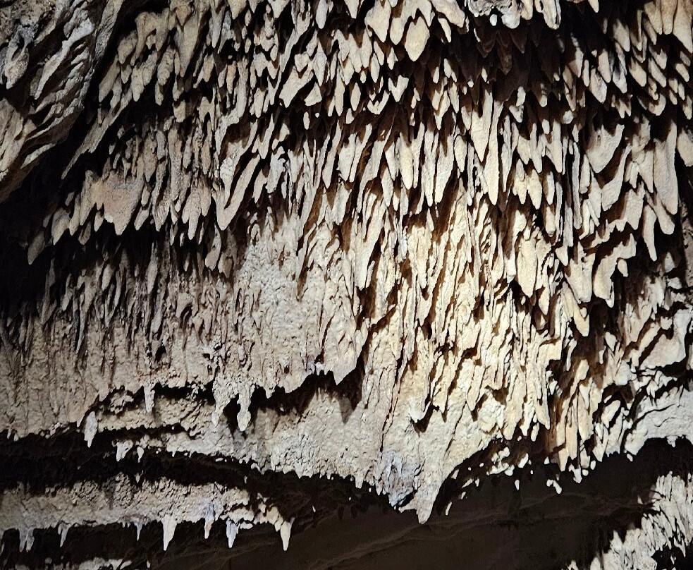 Francois Leguat Reserve-罗德里格斯岛必去景点