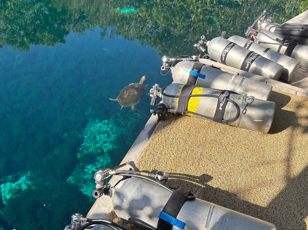 Infinity 2 Diving-图伦必去景点