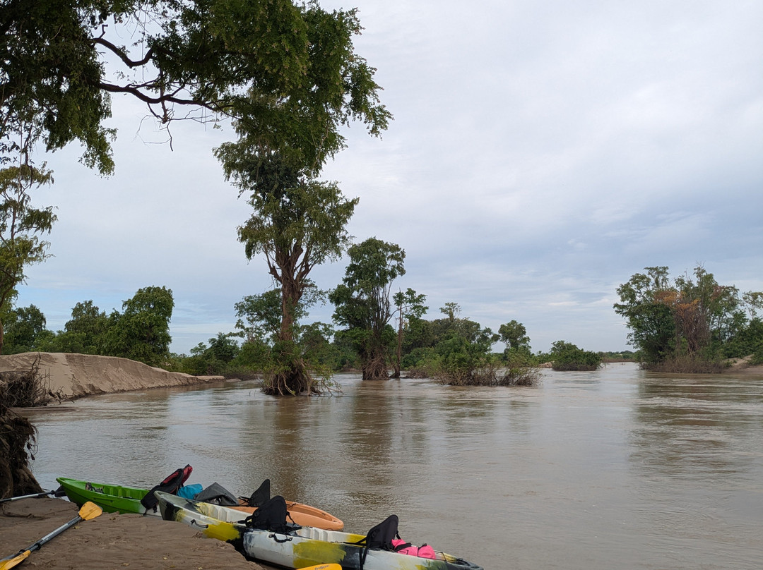 Dolphin Kayaking Adventures-Kratie必去景点
