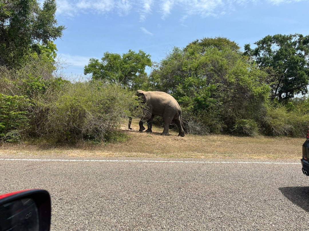 Dilshan Ella City Tours-Karandagolla必去景点