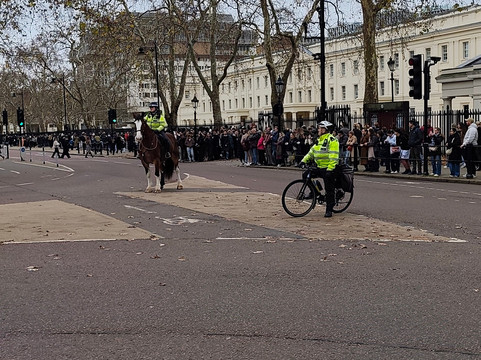 See The Sights Tours-伦敦必去景点