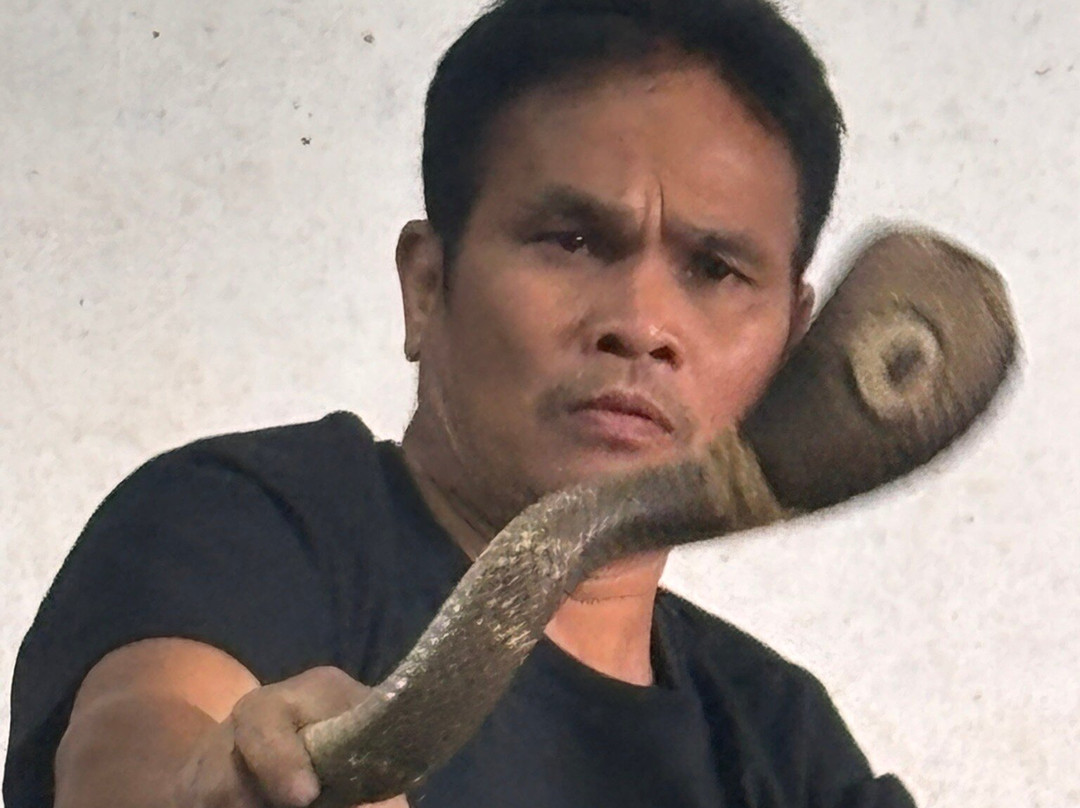 Cobra Show Thailand-苏梅岛必去景点