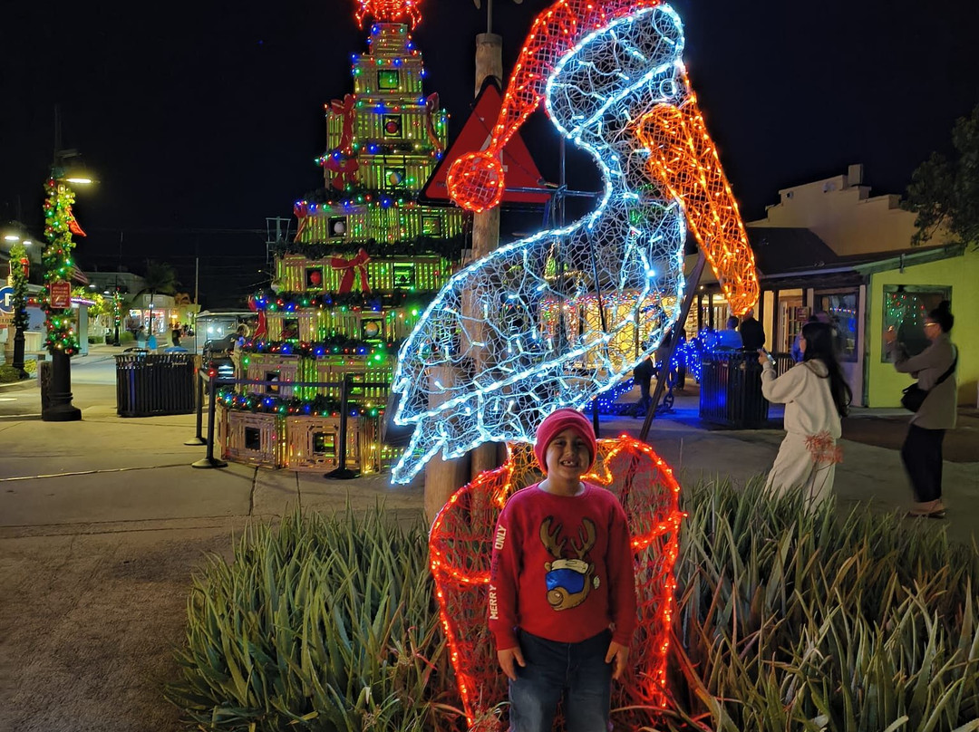Key West Historic Seaport-基韦斯特必去景点