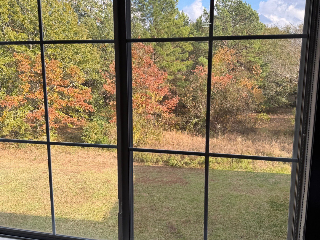 La Quinta Inn & Suites by Wyndham Conroe主图