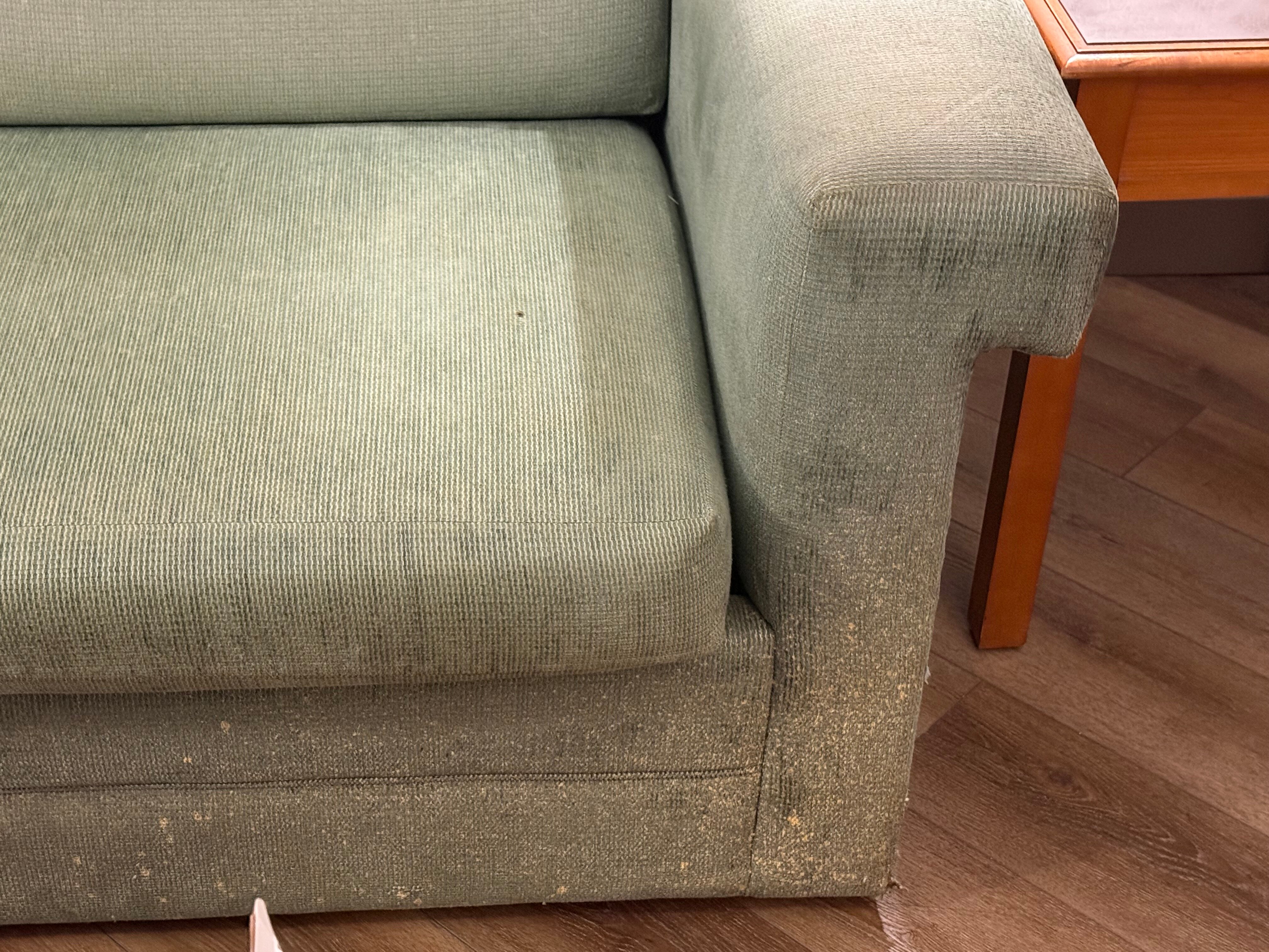 La Quinta Inn & Suites by Wyndham USF-官方