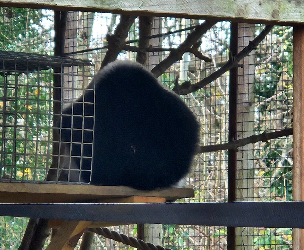 Bristol Zoo Project-Easter Compton必去景点