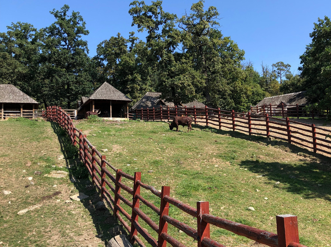 Sibiu Zoological Garden-锡比乌必去景点