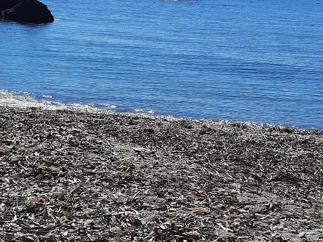 Cala Cristal-Cuevas del Almanzora必去景点