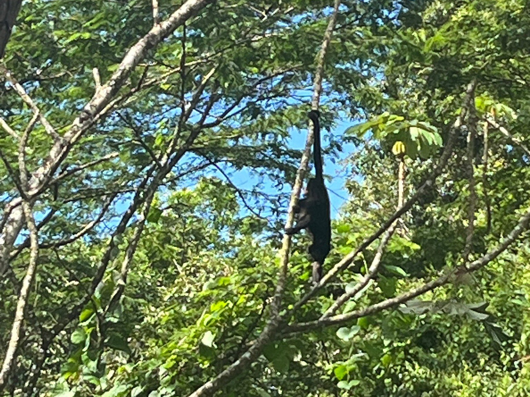 Gingerbread Hotel主图