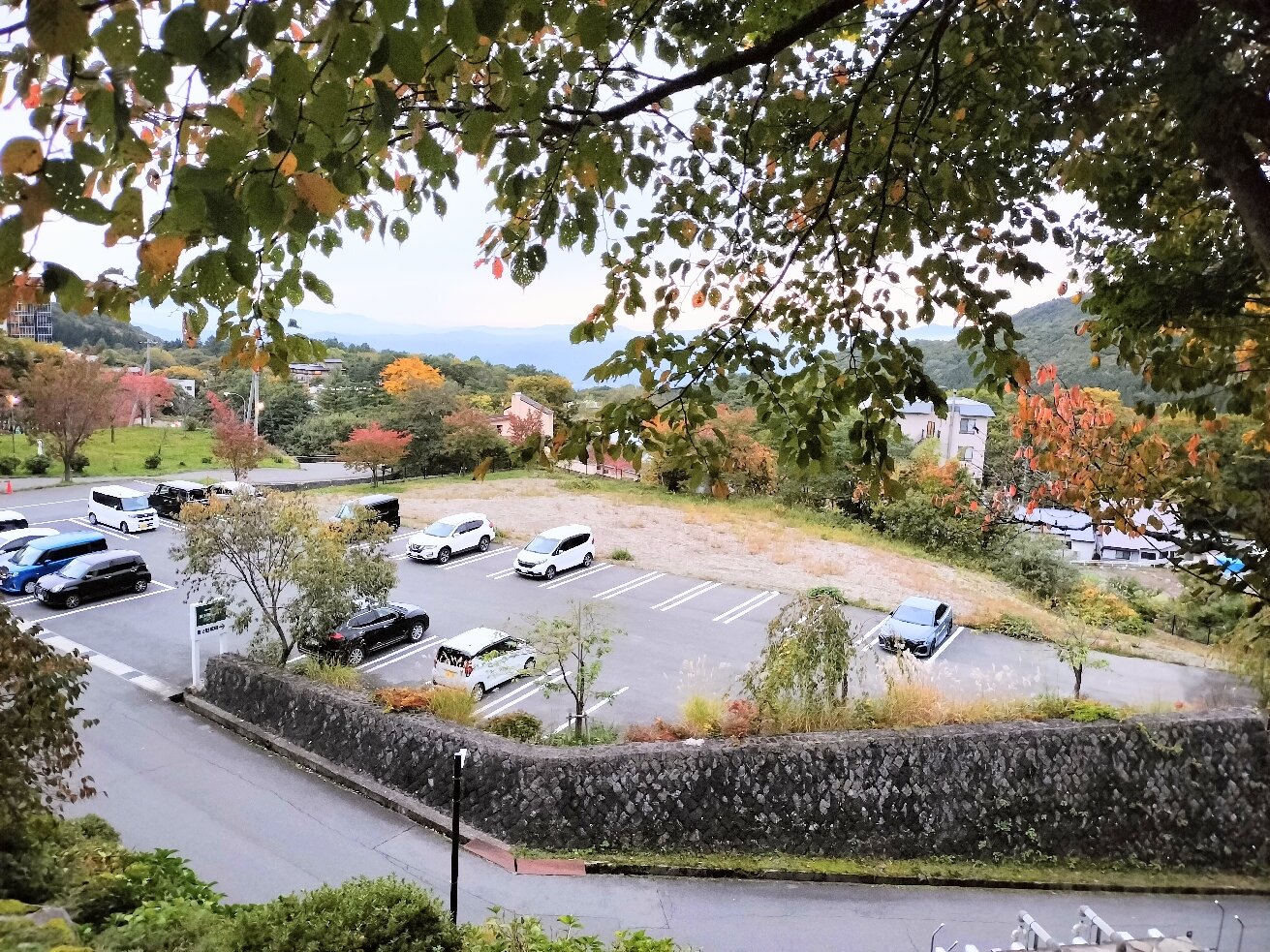 赵氏国际酒店-官方