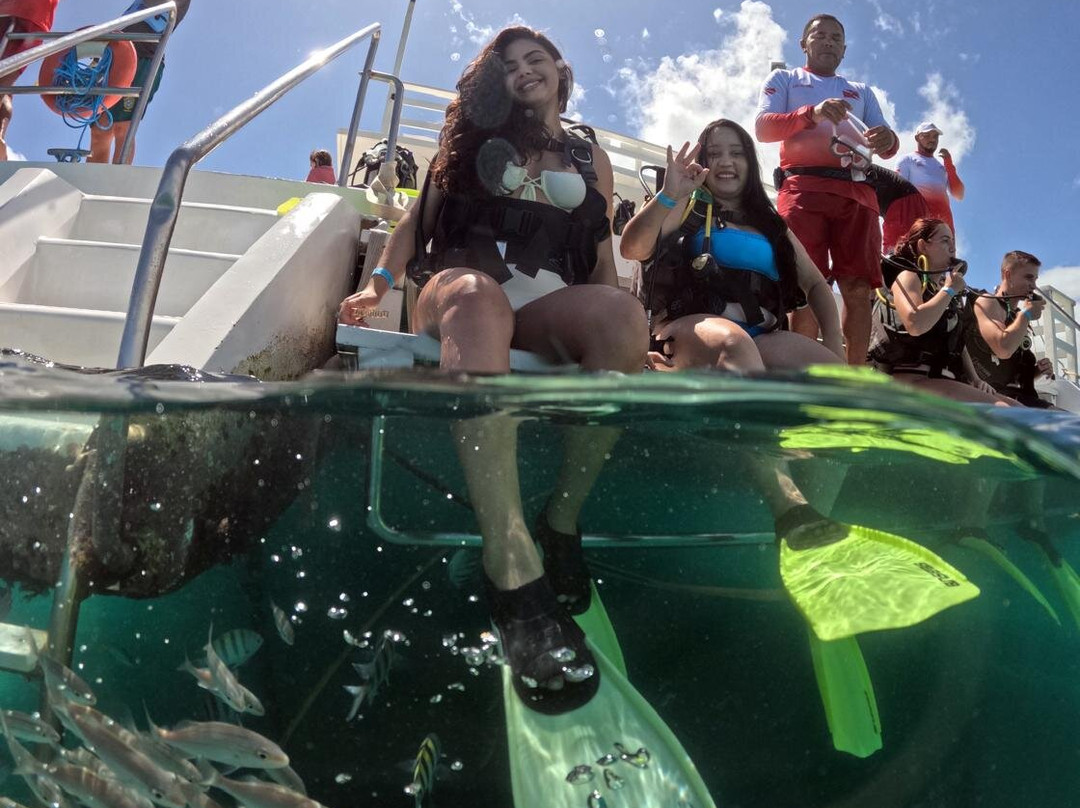 Maracajaú Diver-Maracajau必去景点