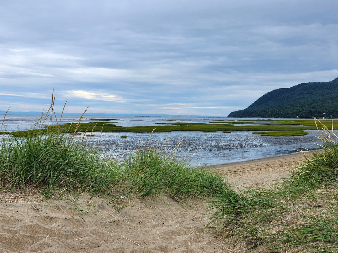Boisé du Quai-Baie-St-Paul必去景点