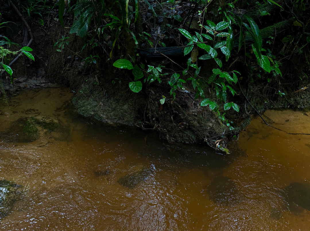 Trilha dos Tucanos-Tapirai必去景点