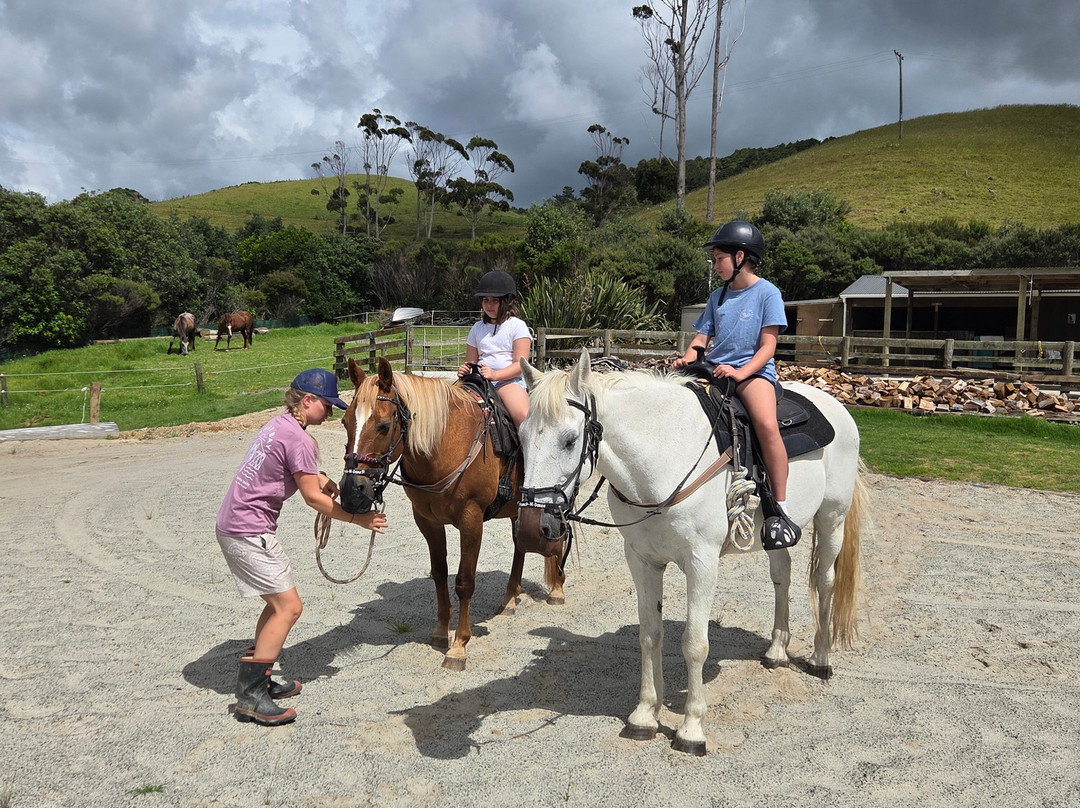 Sandy Bay Horses-璜加雷必去景点