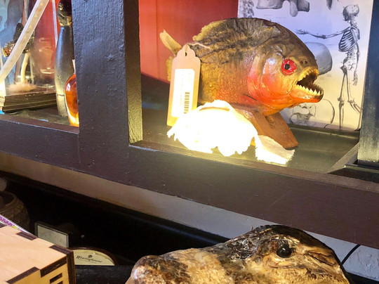 ReGEN Haus-Fillmore必去景点