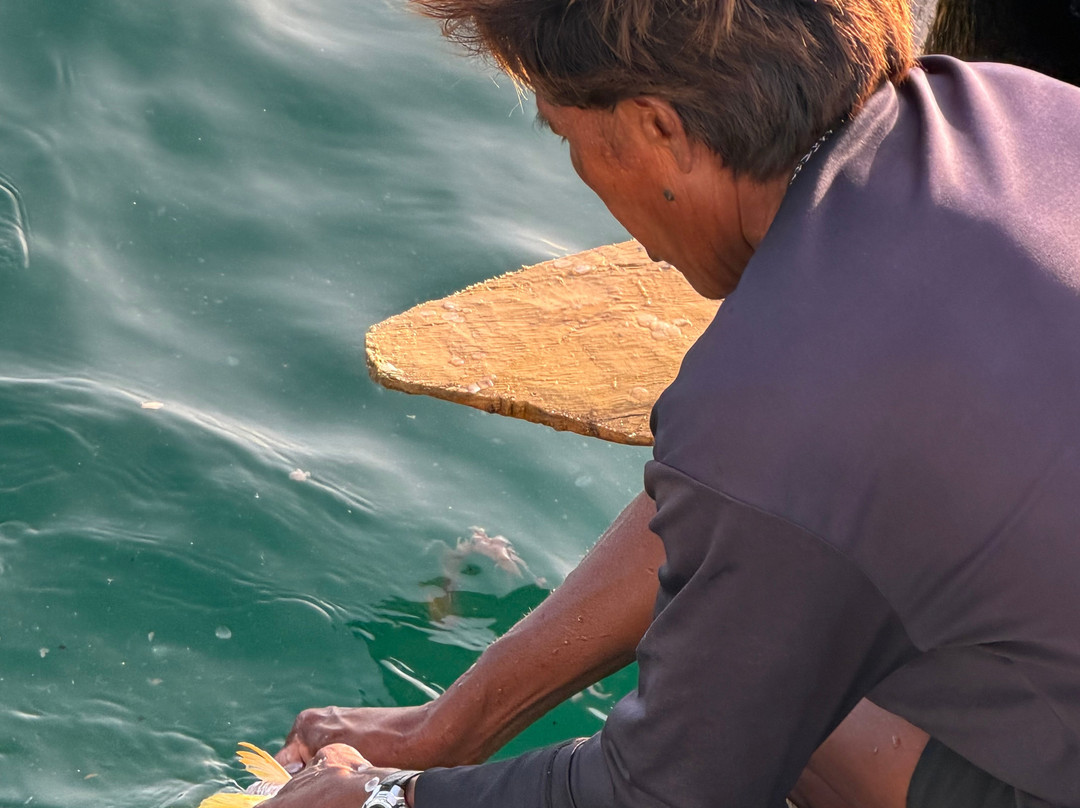 Sailing Charter Panama-Carti Tupile必去景点