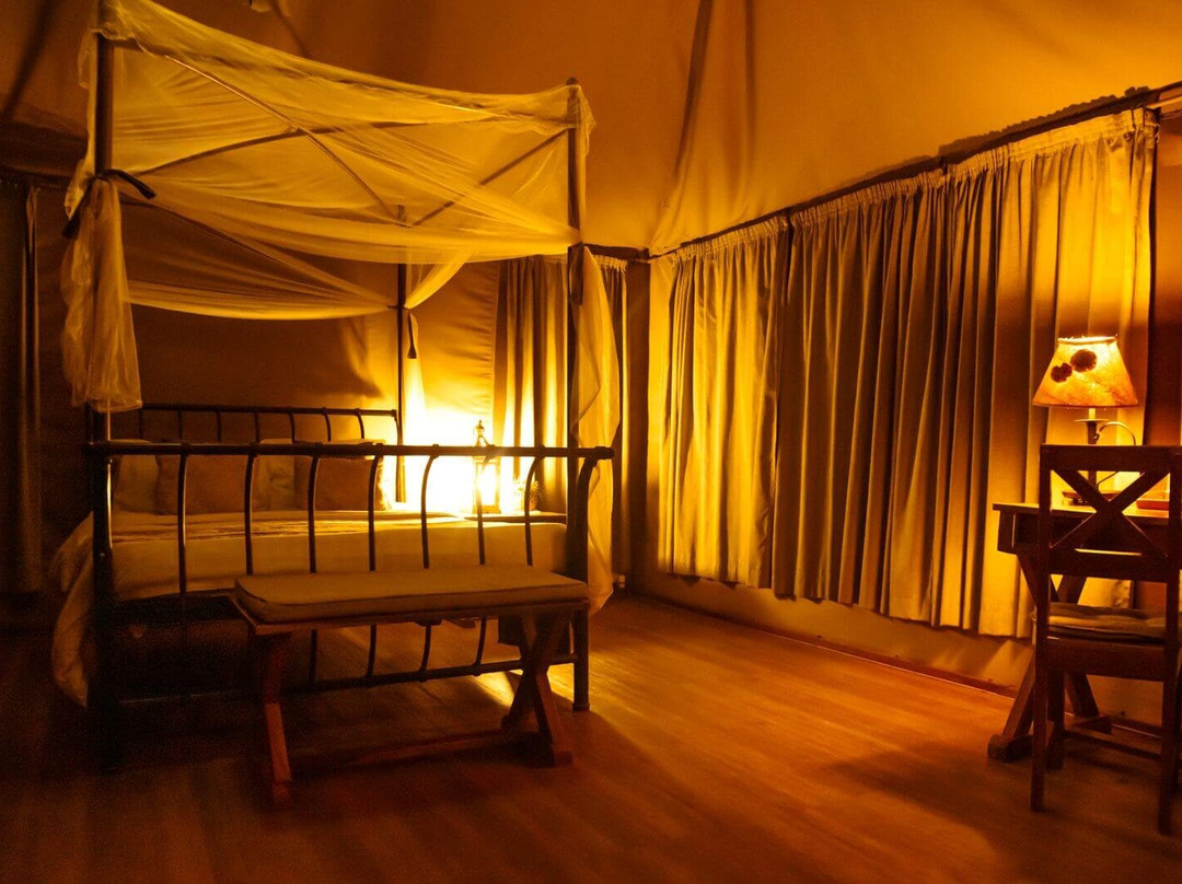 爱威塔野生动物园营地酒店主图