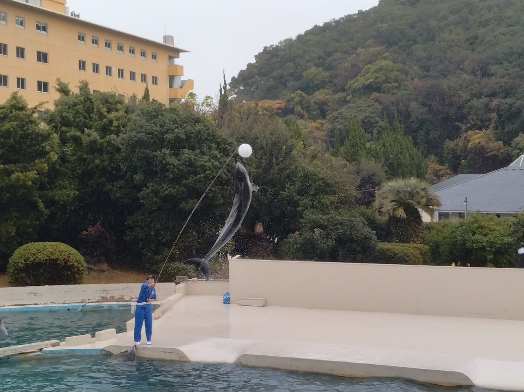 Taiji Whale Museum-太地町必去景点