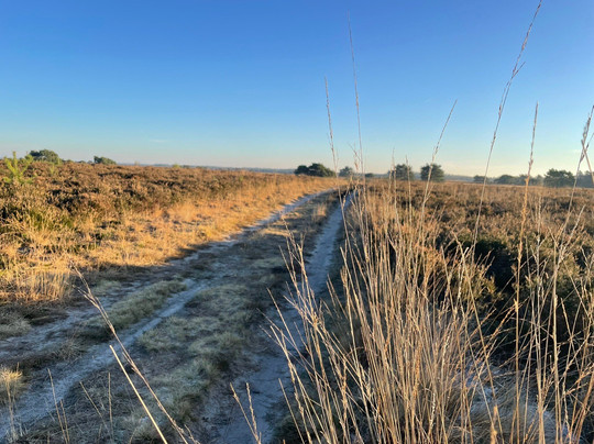 Veluwe Hotel Stakenberg主图