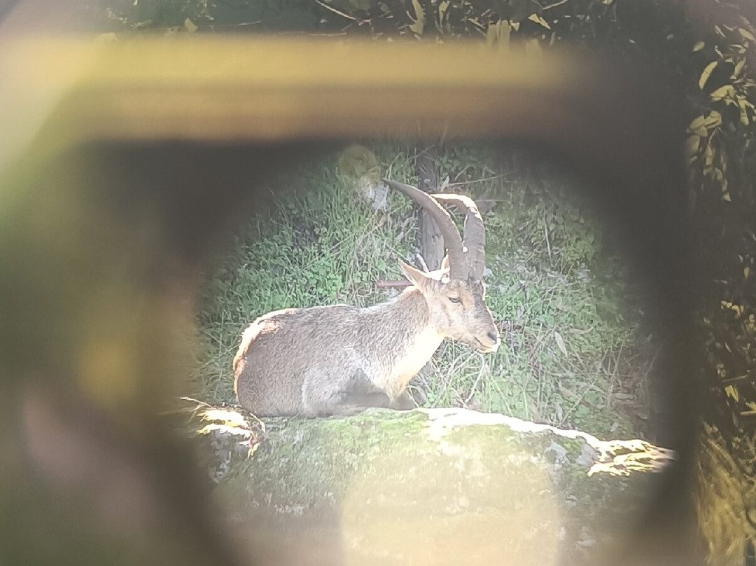 Lyncis Ecoturismo Y Medioambiente-Guarroman必去景点