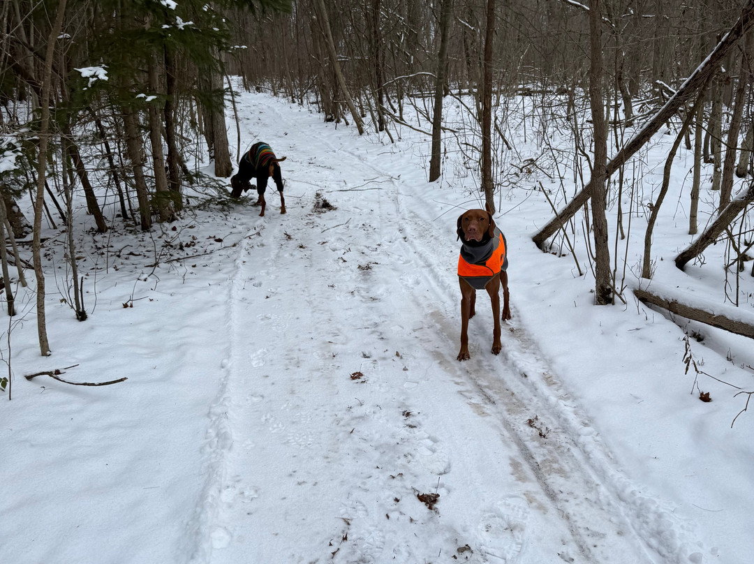 Stevensville Conservation Area-Stevensville必去景点