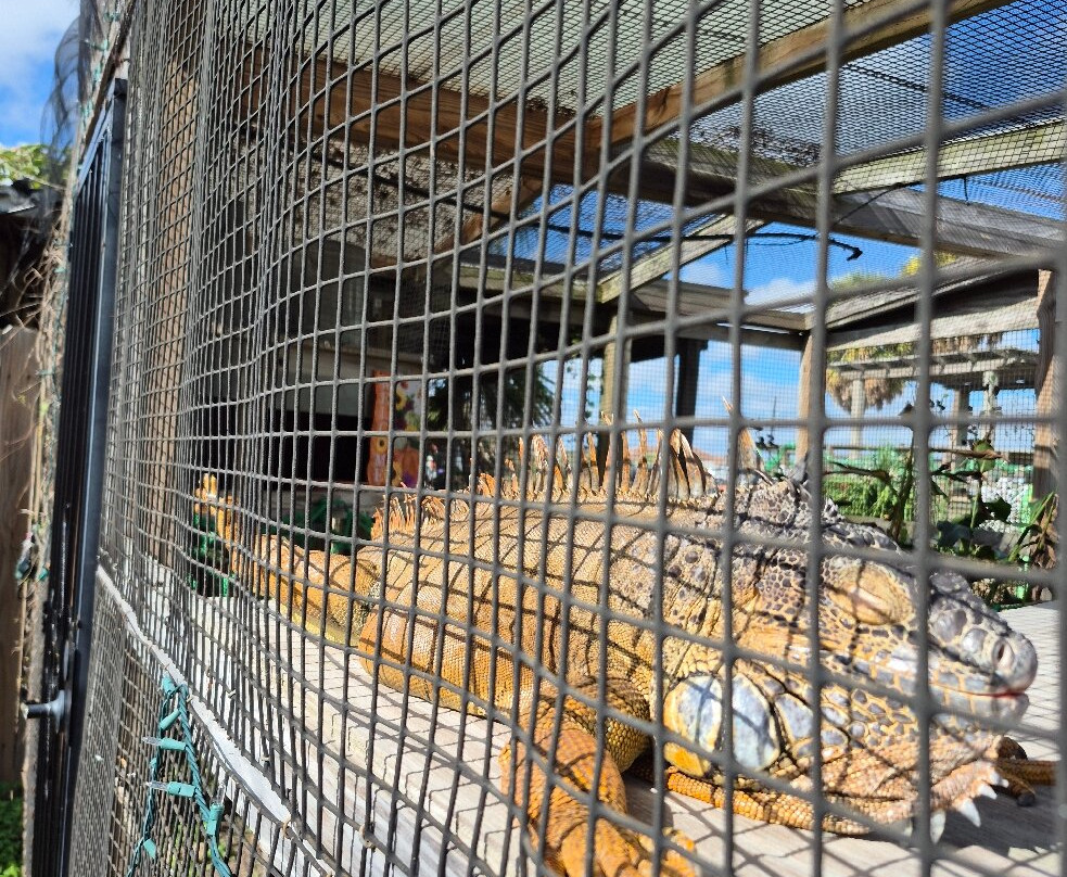 South Texas Botanical Gardens & Nature Center-科珀斯克里斯蒂市必去景点