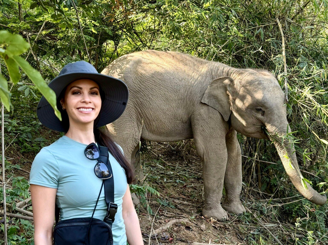 MandaLao Elephant Conservation-琅勃拉邦必去景点