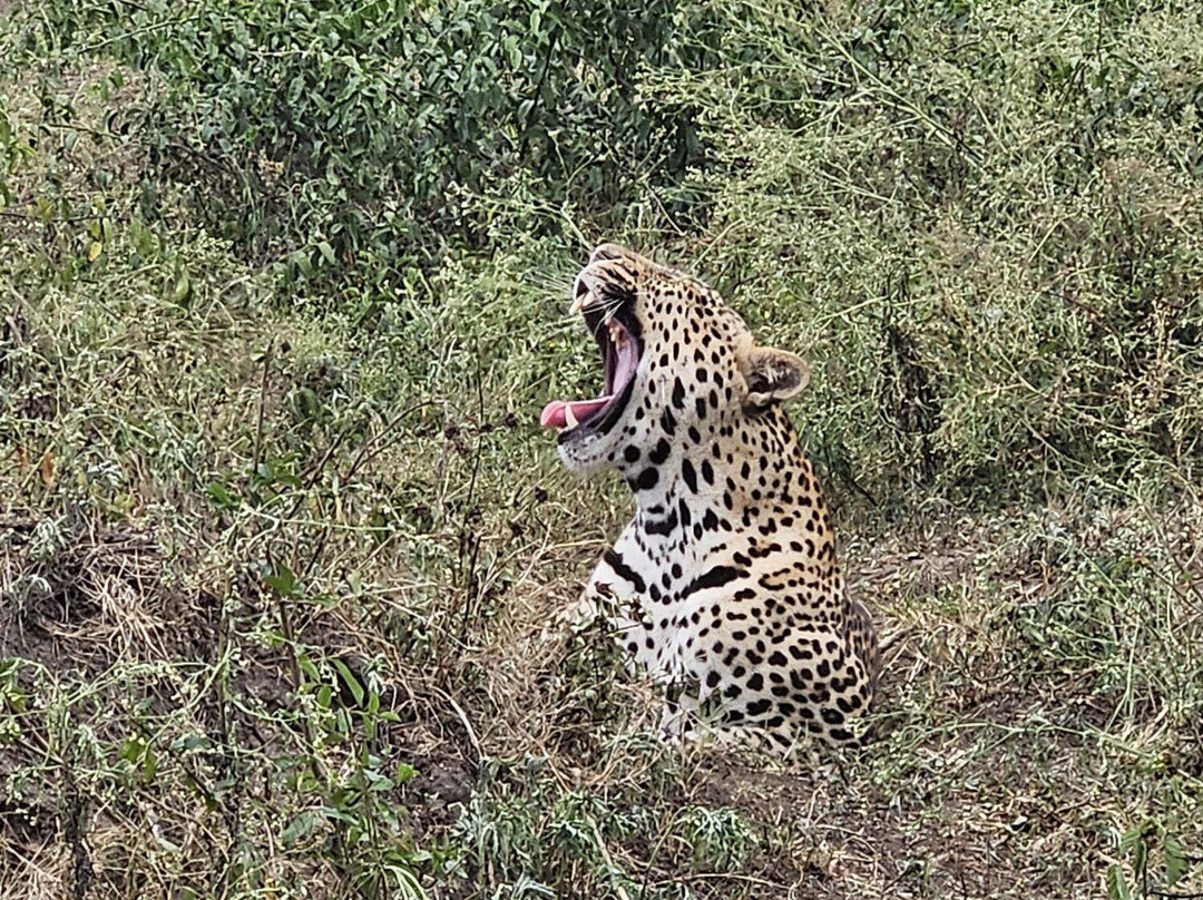 Katona Tours and Travel-吉佳利必去景点