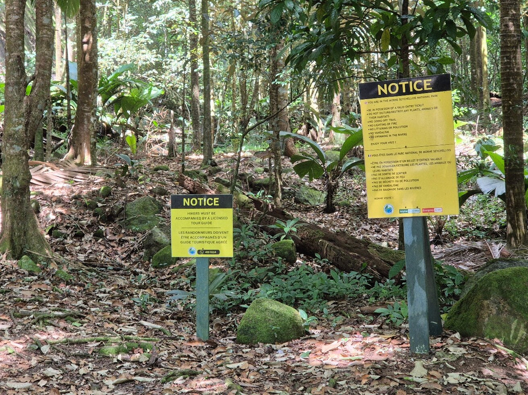 Morne Seychellos National Park-维多利亚必去景点