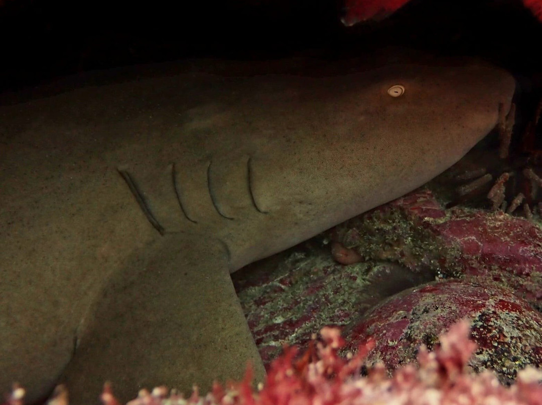 Atlantic Star Nautical Center-圣塔玛丽亚必去景点