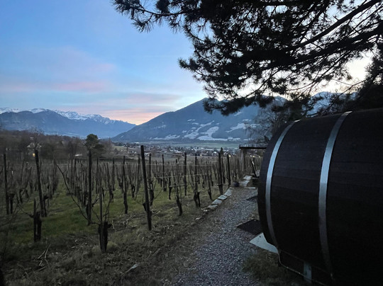 Schlaf-Fass Riesling-Silvaner Maienfeld主图